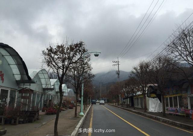 探访韩国多肉植物基地，中韩多肉大对比（一）qw1.jpg