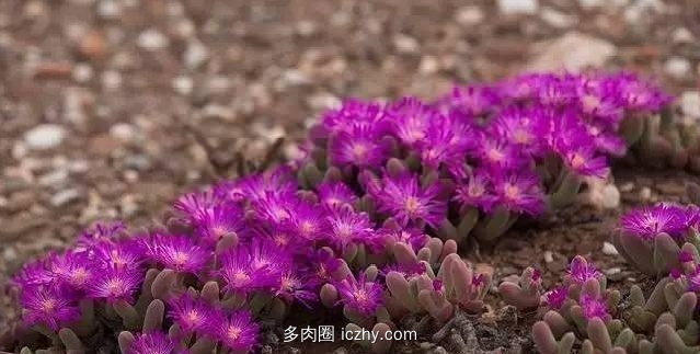 60d9736d-33e0-4e1a-abab-387aac100069.jpg