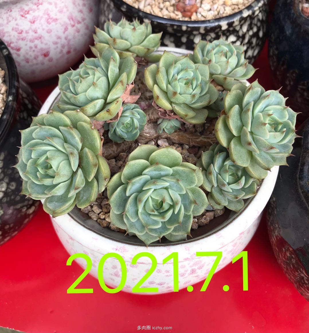 wechat_upload162614843960ed0e57b4605