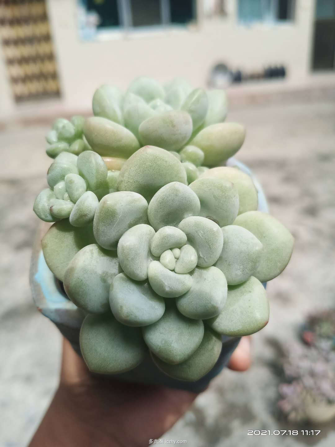 wechat_upload162659541560f3e0577a7f2