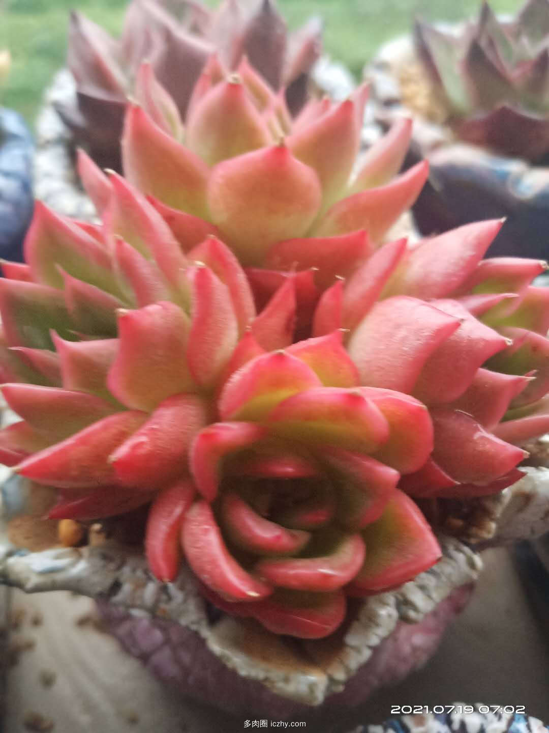 wechat_upload162703846260faa2feb7003
