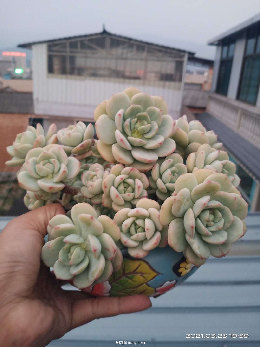 wechat_upload162711715060fbd65e97419