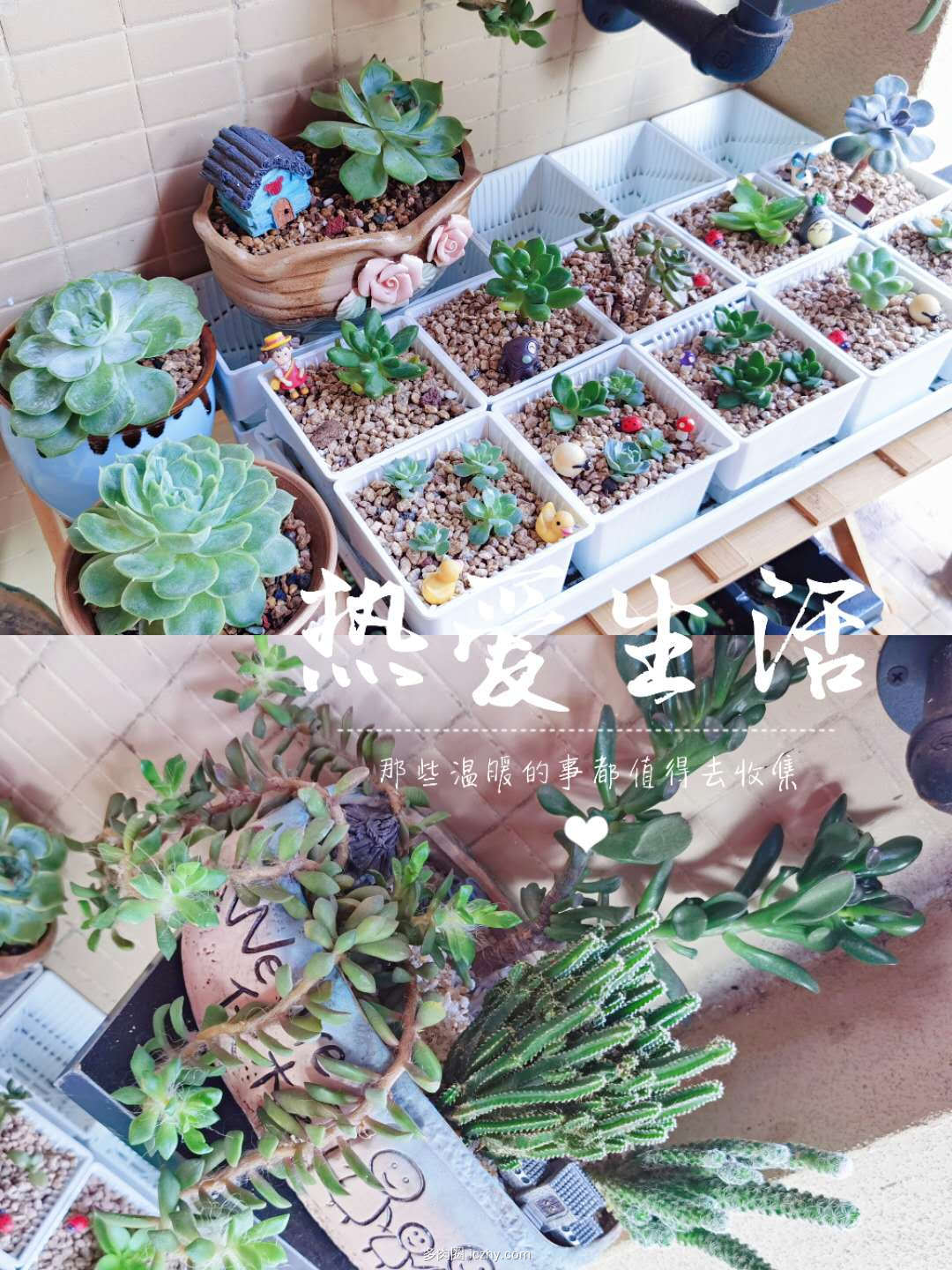wechat_upload162726296060fe0ff0b21bd